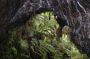 10VolcanoNP - 84 * Thurston Lava Tube (Nahuku)